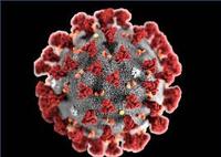 CORONAVIRUS e amministrazioni pubbliche